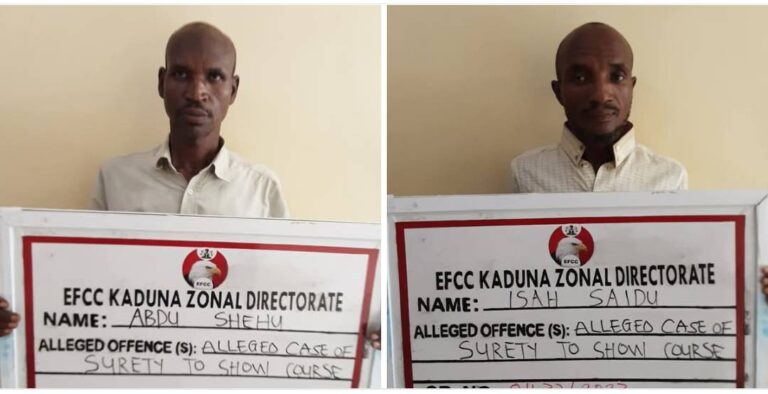 IMG_154935_03625_1748962189775 (1)